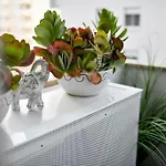 Lea Boutique * Zadar