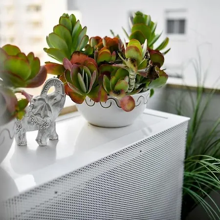 Lea Boutique * زادار