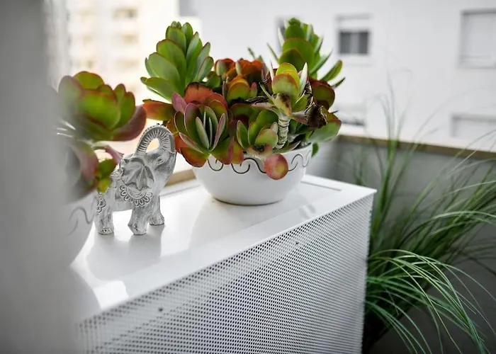 Lea Boutique * Zadar